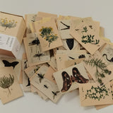 100pcs Vintage Plant Butterfly Kraft Paper Double-sided Note Cards