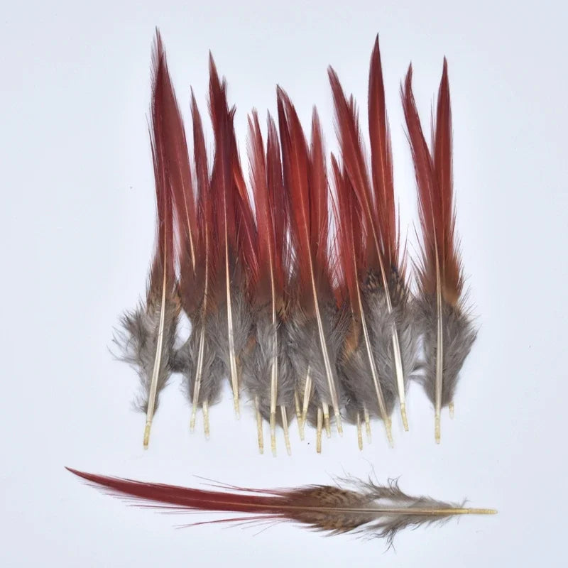 Natural Pheasant Feathers 5~25cm/2-10" DIY Crafts