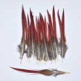 Natural Pheasant Feathers 5~25cm/2-10" DIY Crafts