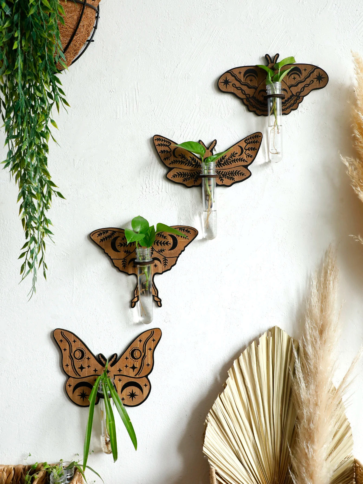 Butterfly Wall-Mounted Propagation Station Wooden Hanging Plant Holder with Plastic Tubes for Indoor Plants