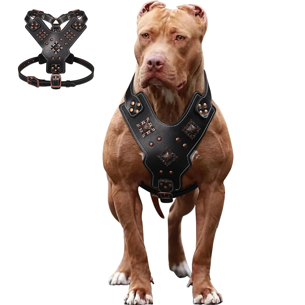 Genuine Leather Dog Harness Durable Large Dogs Riveted Pet Vest With Metal Accessories Medieval Cosplay
