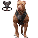 Genuine Leather Dog Harness Durable Large Dogs Riveted Pet Vest With Metal Accessories Medieval Cosplay
