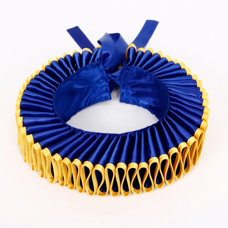 Elizabethan Tudor Ruff Collar Photoshoot Halloween Costume