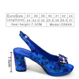 Spring Garden Party Shoes And Matching Bag Set