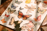 Vintage Big Butterfly RUB ON Transfer Stickers Scrapbooking DIY Craft Supplies Junk Journaling