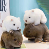 18/22/25cm Plush Wombat Plushie Toy