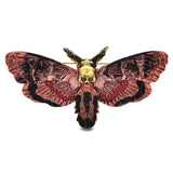 Enamel Death Moth Brooches Pins