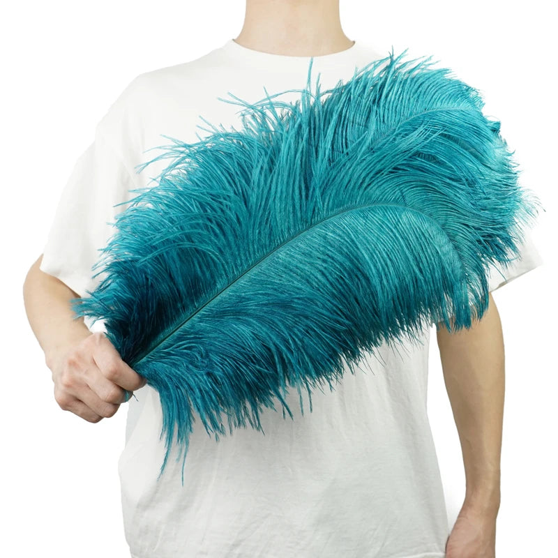 10Pcs/Lot Ostrich Feathers 30-50cm DIY Crafts