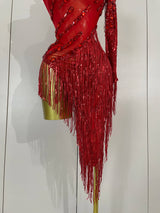 Sparkly Rhinestones Fringed Latin Dance Outfits Stage Performance Costume