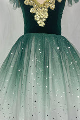 Fae Ballerina Aurora's Long Ballet Dance Dress Children Women