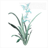 Orchid Flower Iron on Applique Floral Patch DIY Craft 19 X 24.5CM