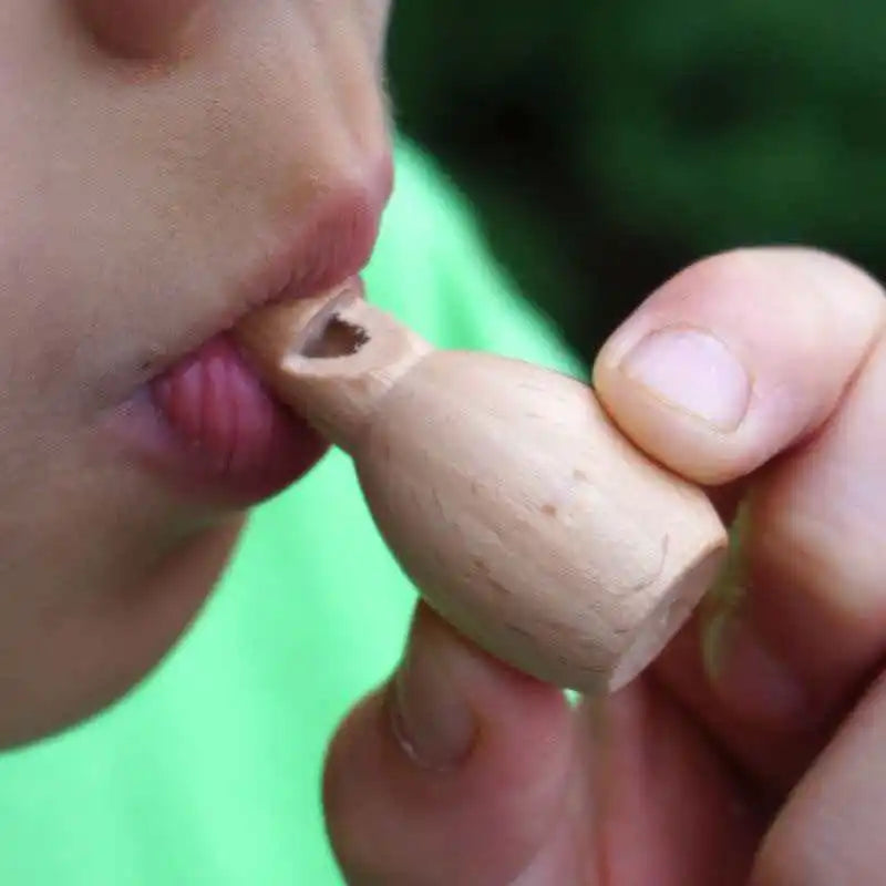 Wooden Bird Call Whistle Musical Noisemaker Fun Outdoor Exploration Kids Education Gifts