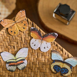 Set of 4 Butterfly Bookmarks Magnetic Page Holder