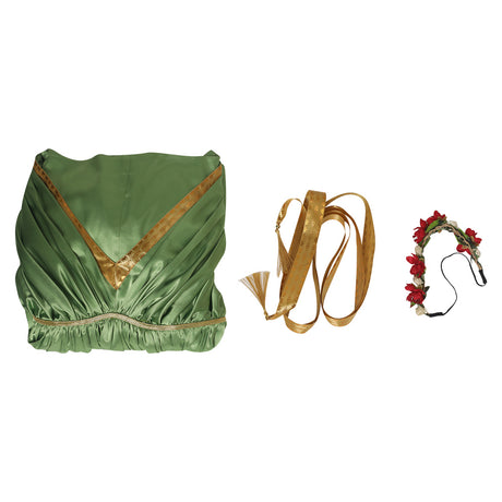 Adult Star Wars Leia Cosplay Costumes