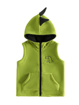 Dinosaur Fleece Vest Toddler Boy Hooded Cute Embroidery Full-Zip Sleeveless Jacket Coats Outerwear