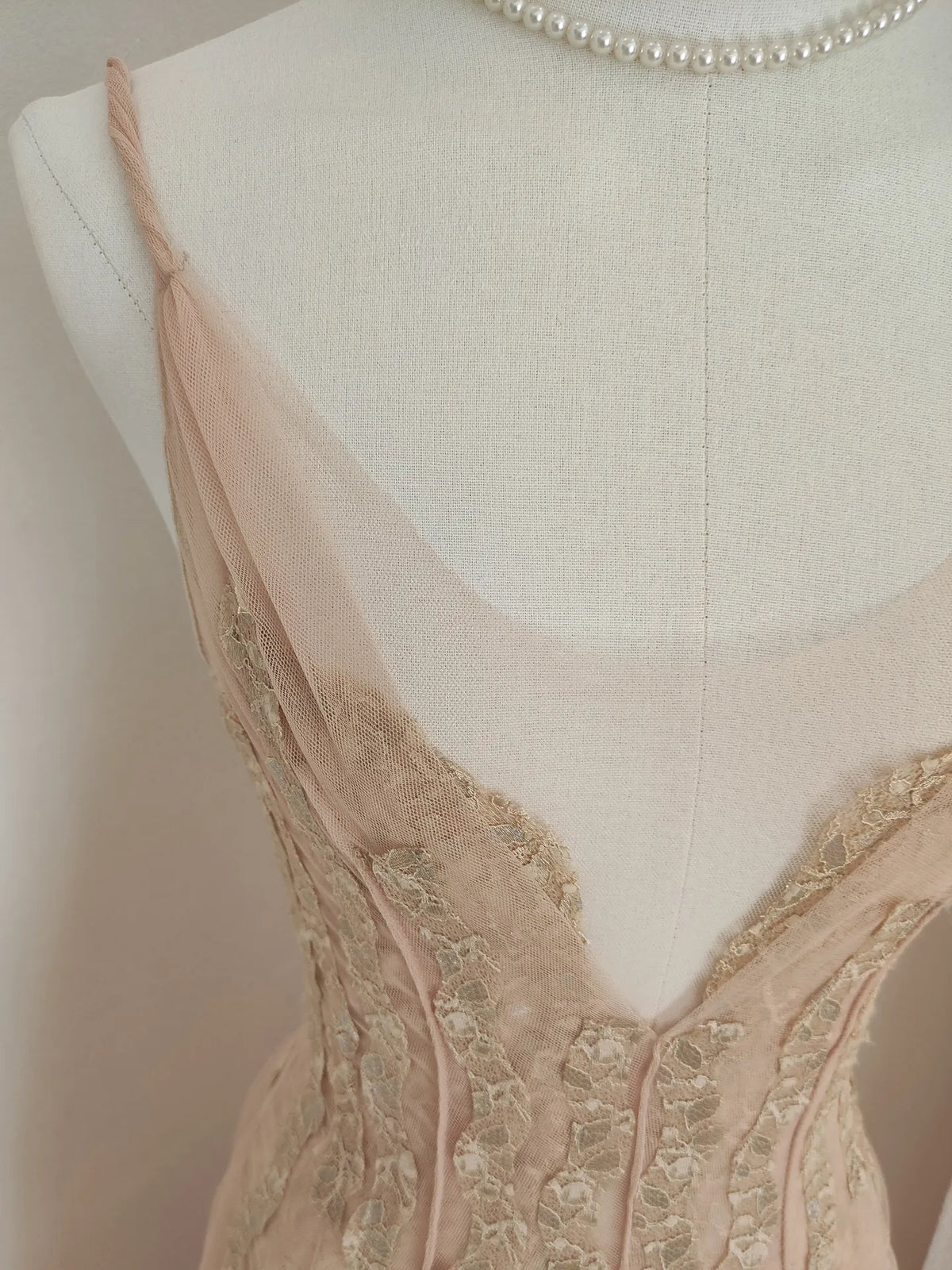 Sylvie's French Lace Embroidered Mesh Evening Dress
