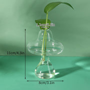 Mushroom Glass Vase Plant Hydroponic Terrarium Vase