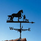Wonderful Weather Vanes