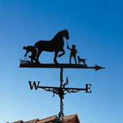 Wonderful Weather Vanes
