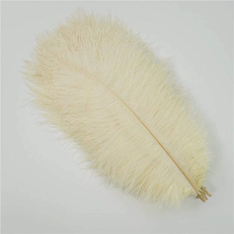 10Pcs/Lot Ostrich Feathers 30-50cm DIY Crafts
