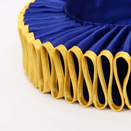 Elizabethan Tudor Ruff Collar Photoshoot Halloween Costume