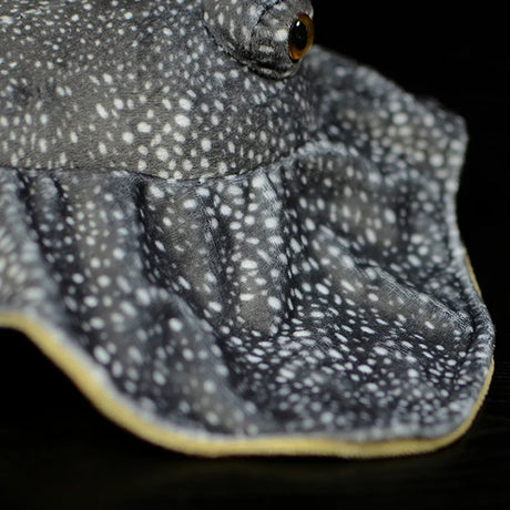 Stingray Plushie Toy