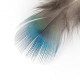 Peacock Feathers DIY Crafts 10/20/50/100PCS