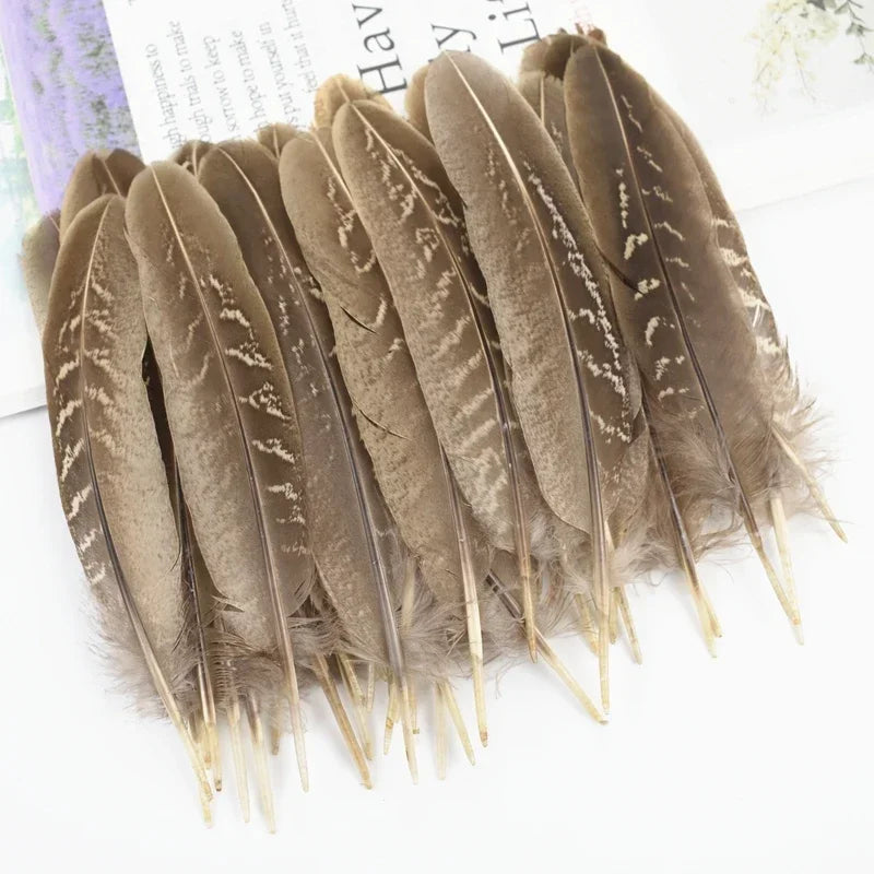 Natural Pheasant Feathers DIY Crafts Decor