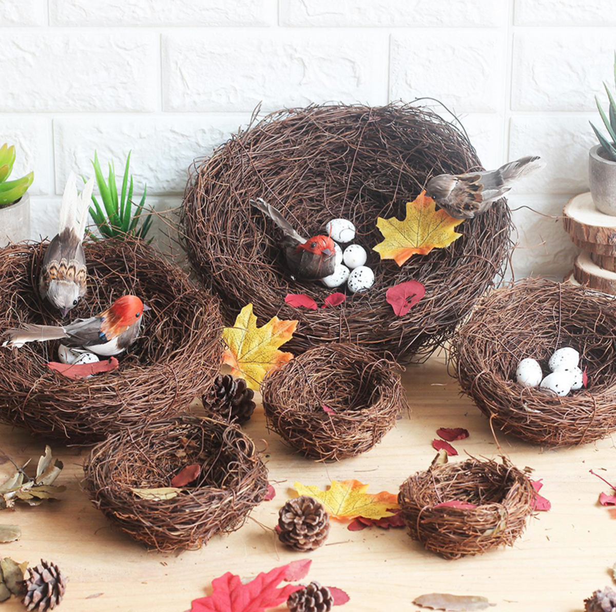 Bird Nests Decor and Props