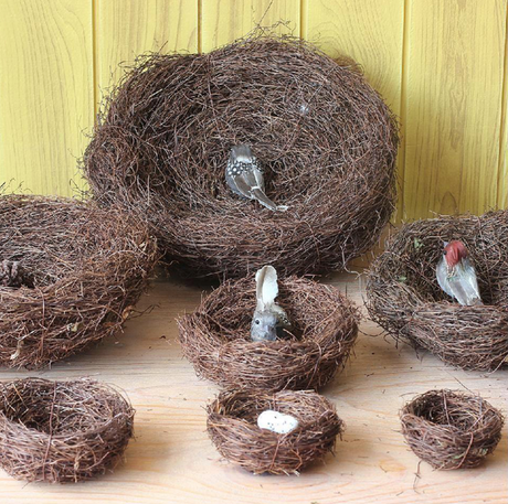 Bird Nests Decor and Props