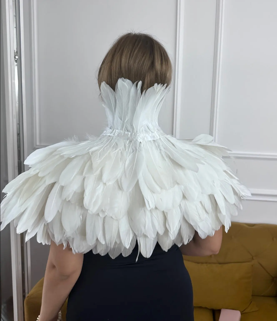 Zippora's Feather Collar Shawl