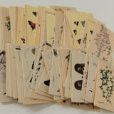 100pcs Vintage Plant Butterfly Kraft Paper Double-sided Note Cards