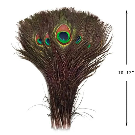 10Pcs Natural Peacock Feathers 25-30CM/10-12inch Feathers for Crafts and Decoration