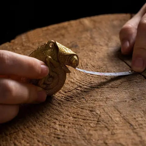 Chameleon Tape Measure