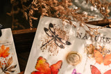 Vintage Big Butterfly RUB ON Transfer Stickers Scrapbooking DIY Craft Supplies Junk Journaling