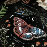 2027 Dark Forest Lunar Wall Calendar 12-Month Moon Phases