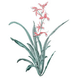 Orchid Flower Iron on Applique Floral Patch DIY Craft 19 X 24.5CM