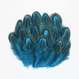 100Pcs Pheasant Chicken Feathers for DIY Crafts