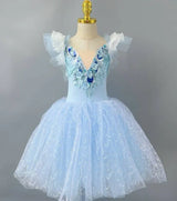 Long Ballet Tutu Dress Dance Performance Dress