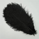 10Pcs/Lot Ostrich Feathers 30-50cm DIY Crafts