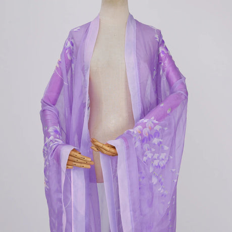 Bohemian Chinoiserie Hanfu Robe