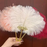 Ostrich Feather Fan Round Fan with Golden Hollow Handle Court Dance Hand Fans