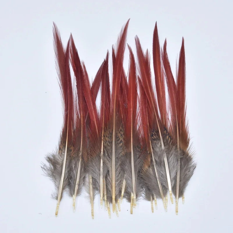 Natural Pheasant Feathers 5~25cm/2-10" DIY Crafts