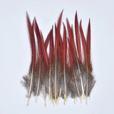 Natural Pheasant Feathers 5~25cm/2-10" DIY Crafts