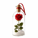 Recordable Christmas Tree Message Bottle Christmas Tree Ornaments Nostalgic Voice Capture