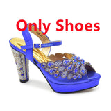 Peacock Peep-Toe Party Pumps Matching Bag and Shoes Set