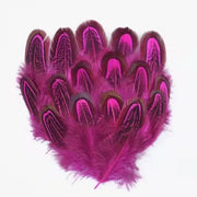 100Pcs Pheasant Chicken Feathers for DIY Crafts