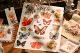 Vintage Big Butterfly RUB ON Transfer Stickers Scrapbooking DIY Craft Supplies Junk Journaling