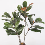 Large Artificial Magnolia Plant Rubber Leaves 2 Forks Simulated Magnolia Tree Branch 110cm Artificial Plants
