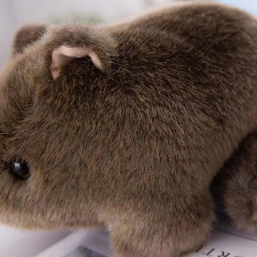 18/22/25cm Plush Wombat Plushie Toy